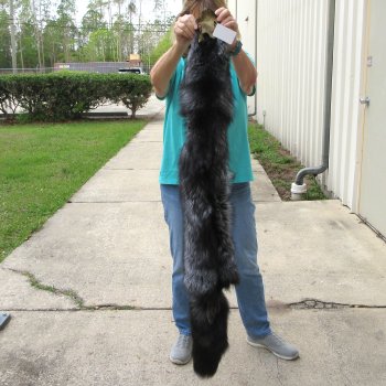 57" Silver Fox Pelt, Tanned Hide