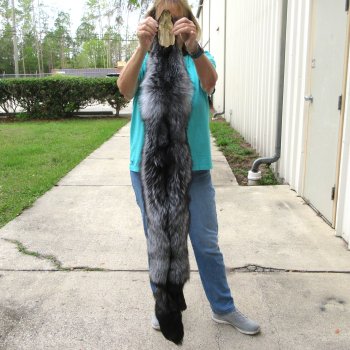 57" Silver Fox Pelt, Tanned Hide