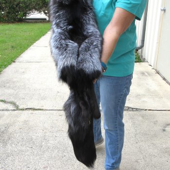 57" Silver Fox Pelt, Tanned Hide