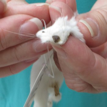 9-1/2" Weasel Skin/Pelt