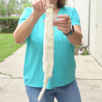 18-1/2" Weasel Skin/Pelt