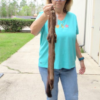 27" Mink Skin/Pelt