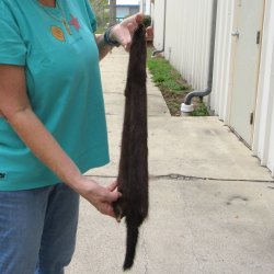 25" Mink Skin/Pelt