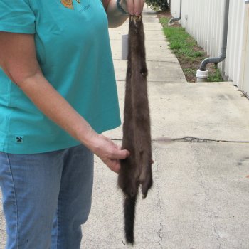 25" Mink Skin/Pelt