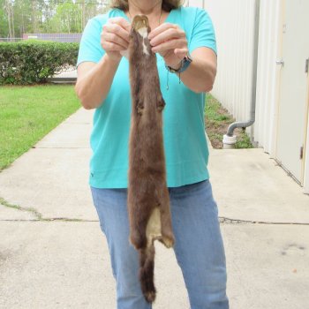 27-1/4" Mink Skin/Pelt