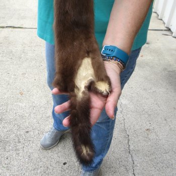 27-1/4" Mink Skin/Pelt