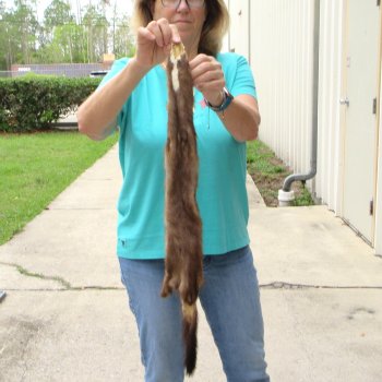 31-1/2" Mink Skin/Pelt