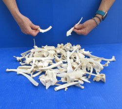 100 Piece Assorted ...