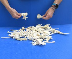 100 Piece Assorted ...