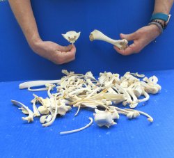 100 Piece Assorted ...