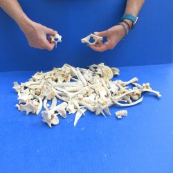 100 Piece Assorted ...