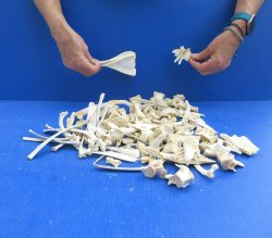 100 Piece Assorted ...