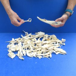 150 Piece Assorted ...