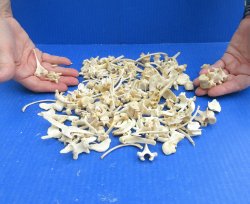 200 Piece Assorted ...