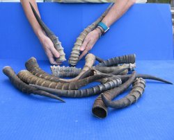 Fourteen piece B-Gr...