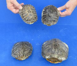 4 pc lot of B-Grade...