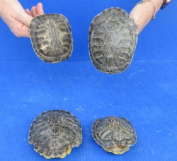 4 pc lot of B-Grade...