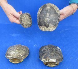 4 pc lot of B-Grade...