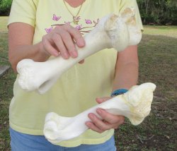 2 pc lot of B-Grade...