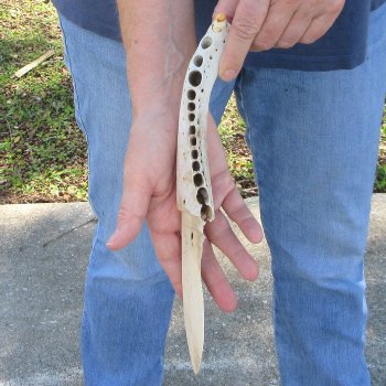 11" Alligator Jaw Bone Knife