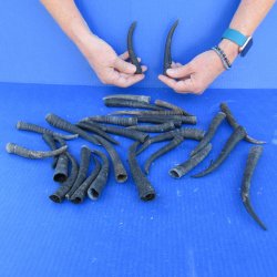 Thirty piece B-Grad...