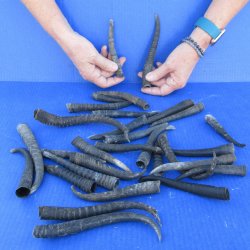 Thirty piece B-Grad...