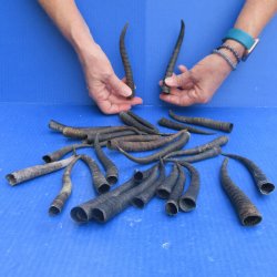 Thirty piece B-Grad...