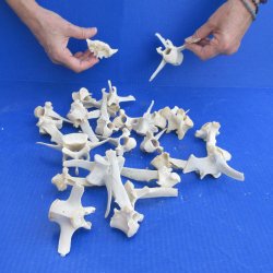Twenty Five piece W...