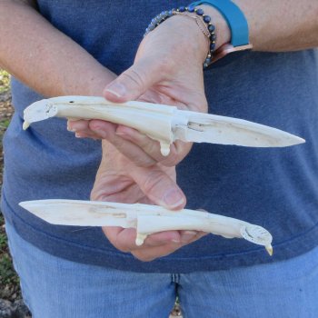 Two piece 7" Alligator Jaw Bone Knives