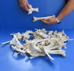 4lb Assorted Bones
