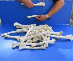 Thirty piece Deer L...