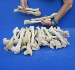 Thirty piece Deer L...