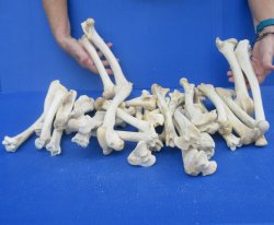 Thirty piece Deer L...