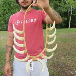 Warthog Tusk Neckla...