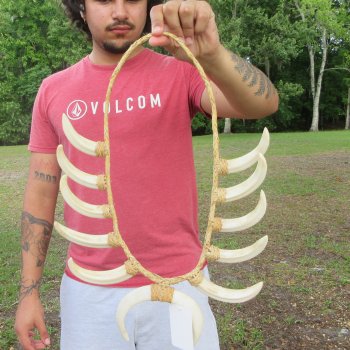 Warthog Tusk Necklace with Twelve 4 to 6-1/2 inch Tusks