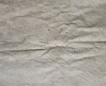 97" x 59" Slight B-Grade Zebra Skin Rug (Adult Signature Required) 