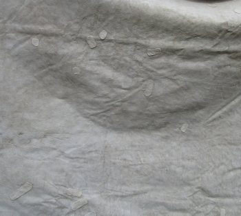 Genuine 93" x 62" A- Grade Zebra Skin Rug (Adult Signature Required) 