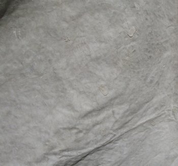 Genuine 94" x 61" A- Grade Zebra Skin Rug (Adult Signature Required) 