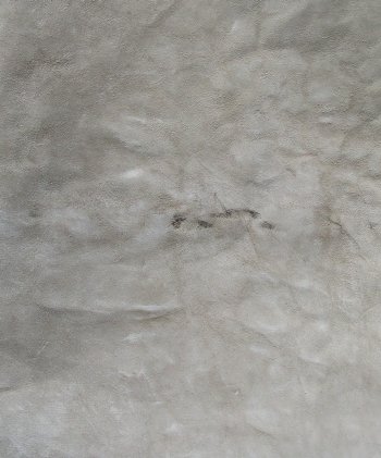 Genuine 94" x 61" A- Grade Zebra Skin Rug (Adult Signature Required) 