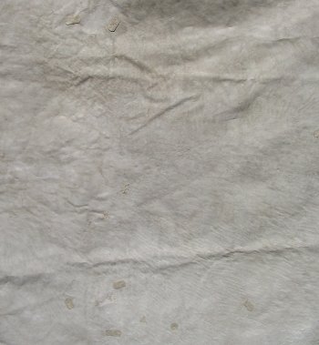 Genuine 88-1/2" x 55" A- Grade Zebra Skin Rug (Adult Signature Required) 