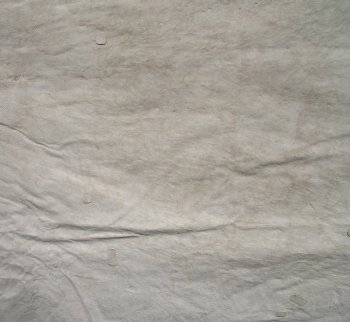 Genuine 93-1/2" x 59" A- Grade Zebra Skin Rug (Adult Signature Required) 