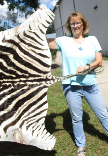 Genuine 87" x 53" A- Grade Zebra Skin Rug (Adult Signature Required)