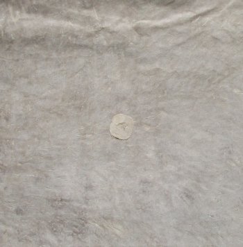 Genuine 90" x 59-1/2" A- Grade Zebra Skin Rug (Adult Signature Required) 