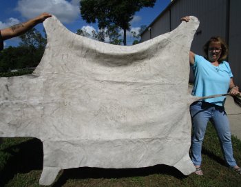 Genuine 92" x 57" A- Grade Zebra Skin Rug (Adult Signature Required) 