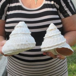 Two piece Wavy Top ...