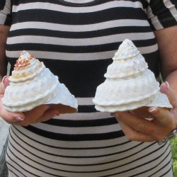 Two piece Wavy Top ...