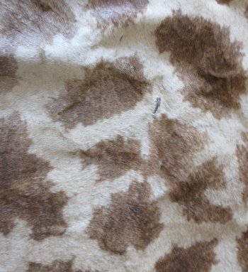 Authentic African Giraffe Hide Rug - Hand-Selected Statement Piece - $2200 (Adult Signature Required)