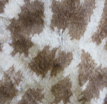 Authentic African Giraffe Hide Rug - Hand-Selected Statement Piece - $2200 (Adult Signature Required)