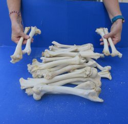 Thirty piece Deer L...