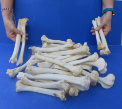 Thirty piece Deer L...